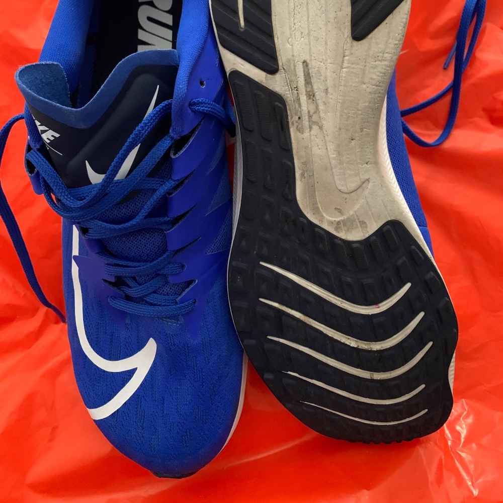 Nike Pegasus running sneakers